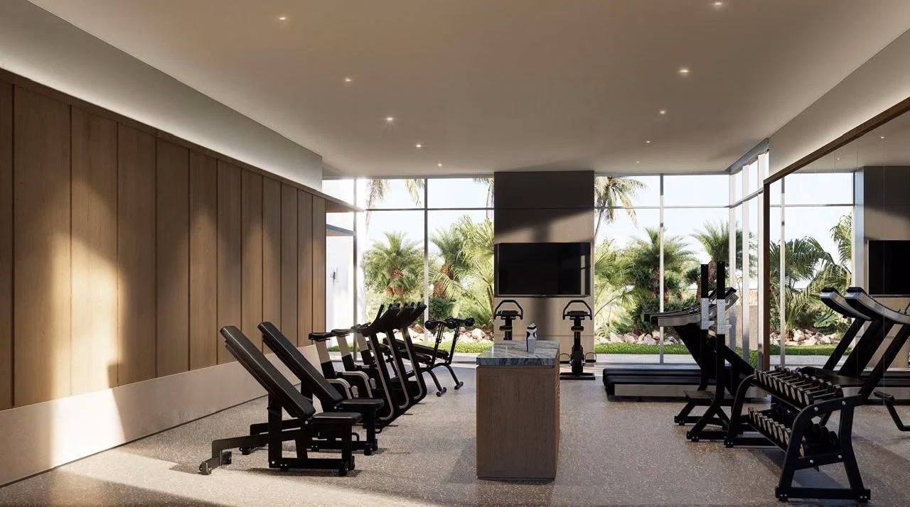 Imagen ilustrativa del gimnasio