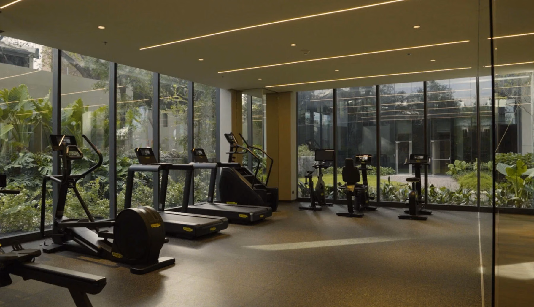 Gimnasio